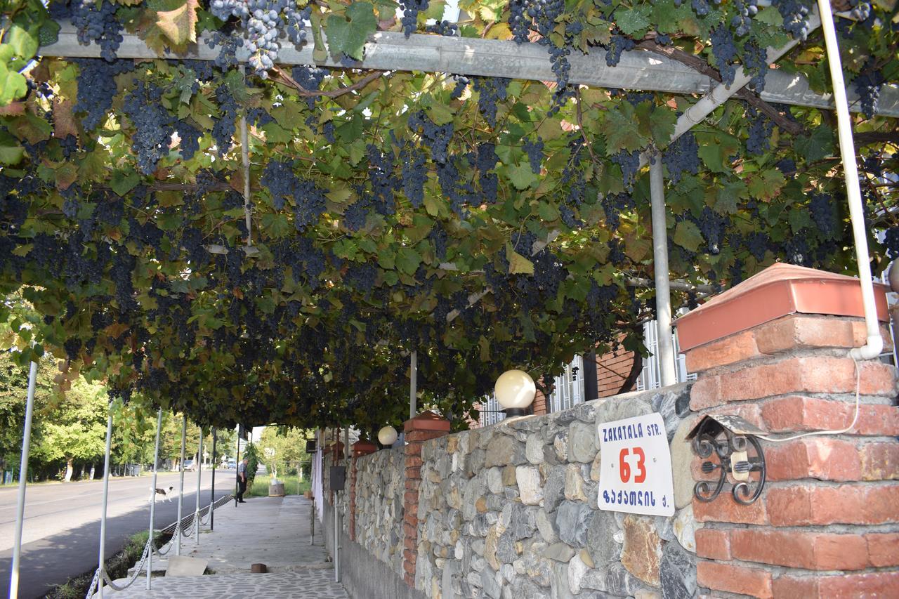Family Hotel Lago & Wine Cellar Lagodekhi Ngoại thất bức ảnh